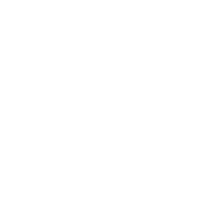 Lions & Bears